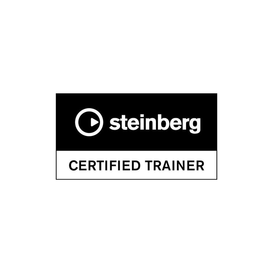 Profesor Certificado Steinberg Logo